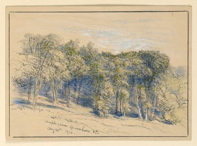 Étude de Maple Grove, Greensboro, Vermont - Samuel Colman