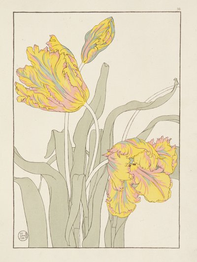 Un Bosjeman, une Bosjeswoman, une femme Booshuana, un homme Booshuana : quatre vignettes de tête et d