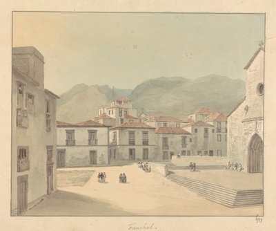 Funchal, Madère : Une Place avec une Église - Samuel Davis