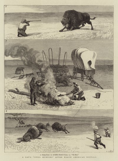Une journée de chasse au buffle nord-américain - Samuel Edmund Waller
