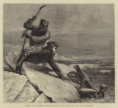 Phoques et peaux de phoque, chasseurs tuant les phoques dans les régions arctiques - Samuel Edmund Waller