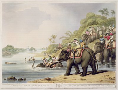 Chasse d