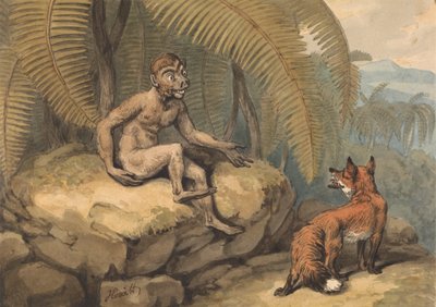 Un singe et un renard - Samuel Howitt