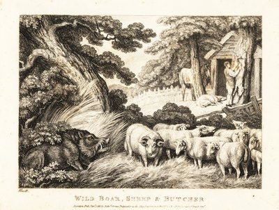 Un troupeau de moutons attend d