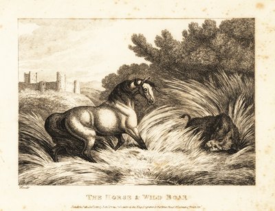 Un cheval et un sanglier s