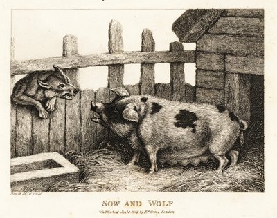 Une grande truie dans une porcherie grognant à un loup - Samuel Howitt