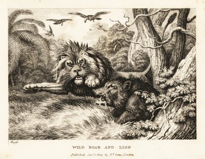 Un lion et un sanglier sauvage se battent tandis que des vautours tournent au-dessus. 1811 - Samuel Howitt