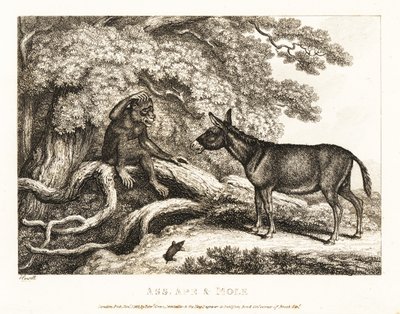 Un singe et un âne gémissent jusqu
