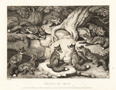 Une meute de renards se réunit dans une forêt. 1811 (eau-forte) - Samuel Howitt