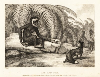 Un singe sans queue demande à un renard un peu de sa queue - Samuel Howitt