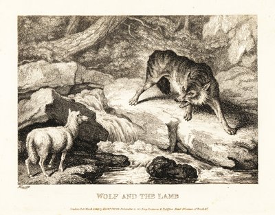 Un loup essayant de justifier le meurtre d