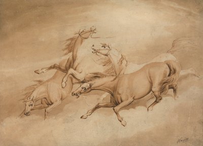 Quatre chevaux au galop - Samuel Howitt