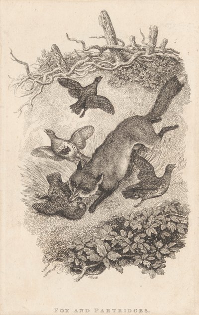 Renard et perdrix - Samuel Howitt