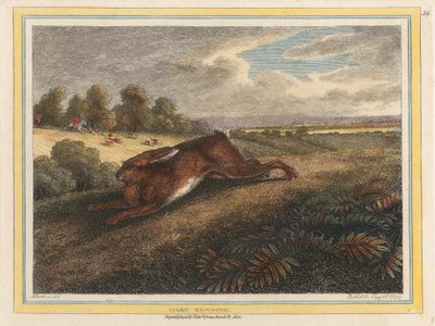 Lièvre courant - Samuel Howitt