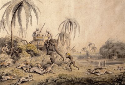 Chasse au Kuttauss ou Chat Civet - Samuel Howitt