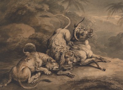 Lion et lionne attaquant un bouvillon - Samuel Howitt