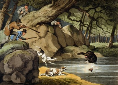 Chasse à l