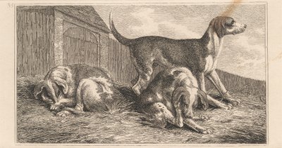 Trois chiens - Samuel Howitt