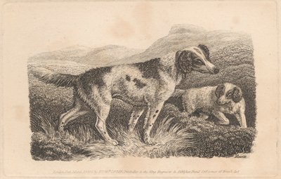 Deux chiens - Samuel Howitt
