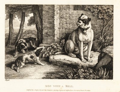 Deux épagneuls aboyant sur un bouledogue avec une cloche à son collier. 1811 - Samuel Howitt