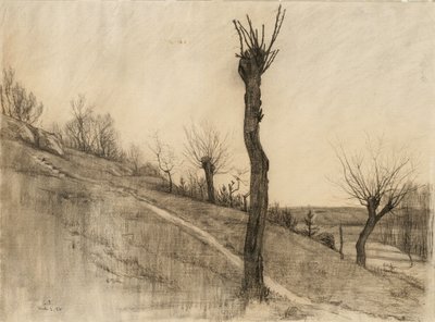 Paysage de fin d