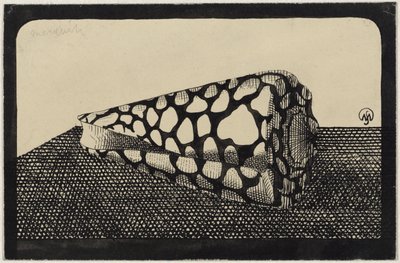 Coquillage, vers la gauche - Samuel Jessurun de Mesquita