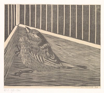 Oiseau dans un coin de cage - Samuel Jessurun de Mesquita