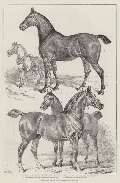Chevaux primés au Agricultural Hall, Islington - Samuel John Carter