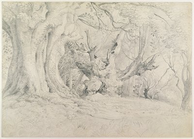 Arbres anciens, parc de Lullingstone, 1828 - Samuel Palmer