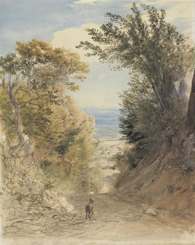 Vue de Rook