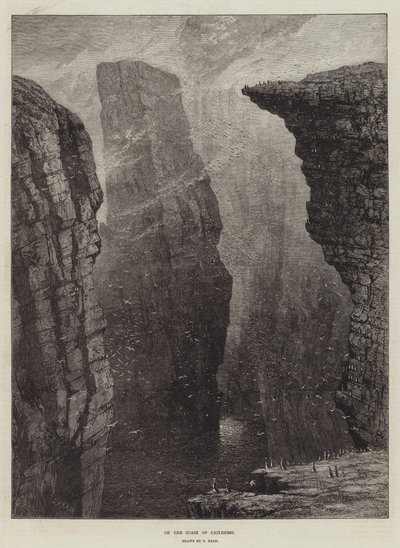Sur la côte de Caithness - Samuel Read
