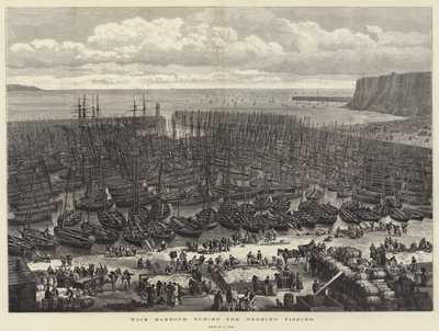 Port de Wick pendant la pêche au hareng - Samuel Read