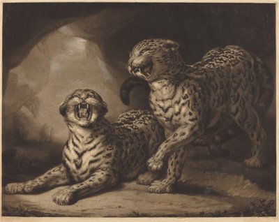 Léopards - Samuel William Reynolds I after James Northcote