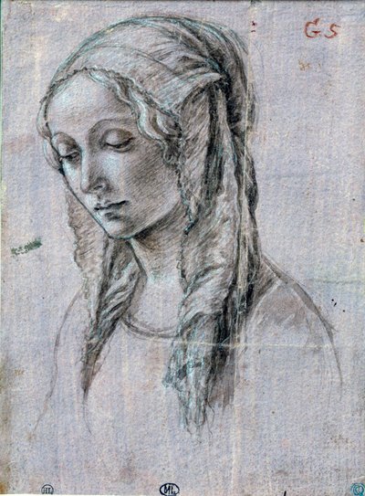 Tête de jeune femme - Sandro (attr. to) Botticelli