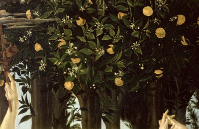 Primavera, détail de l