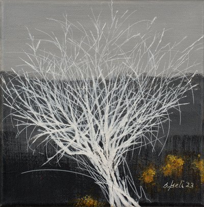  - Sandy Iseli
