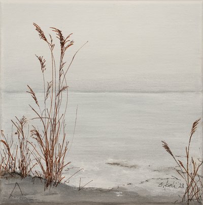  - Sandy Iseli