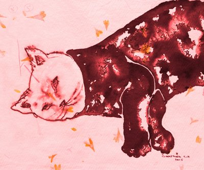 Le chat rouge endormi - Santhosh ch