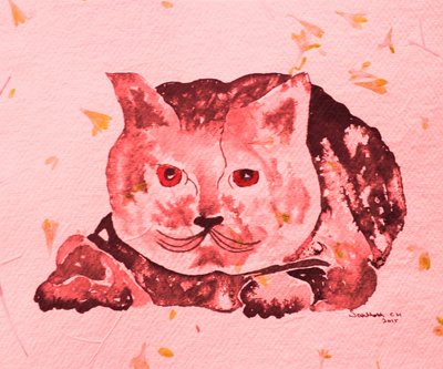 Chat rose fantaisiste - Santhosh ch