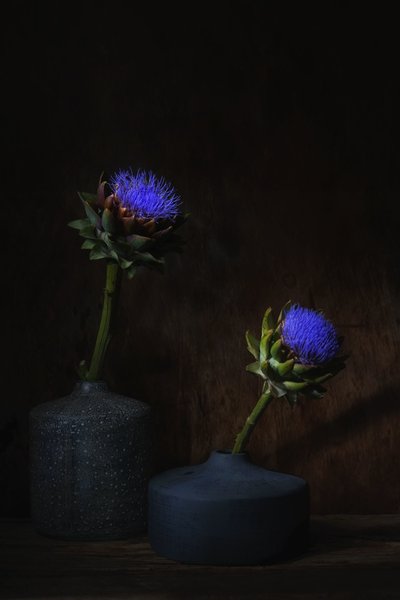  - Saskia Dingemans