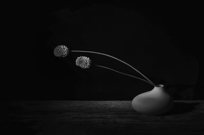  - Saskia Dingemans