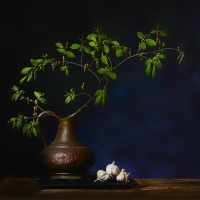  - Saskia Dingemans