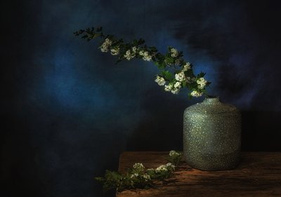  - Saskia Dingemans
