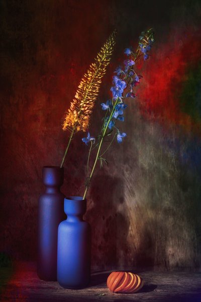  - Saskia Dingemans