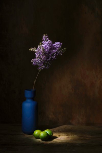  - Saskia Dingemans
