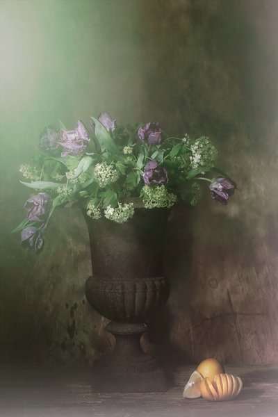  - Saskia Dingemans