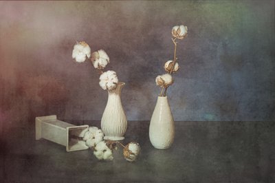  - Saskia Dingemans