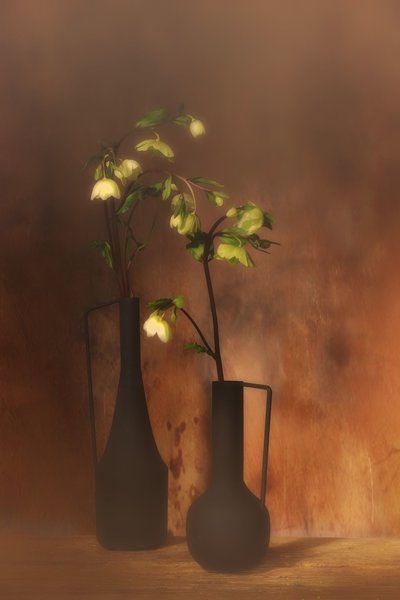  - Saskia Dingemans