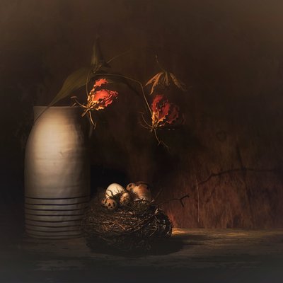  - Saskia Dingemans