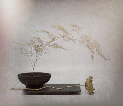  - Saskia Dingemans